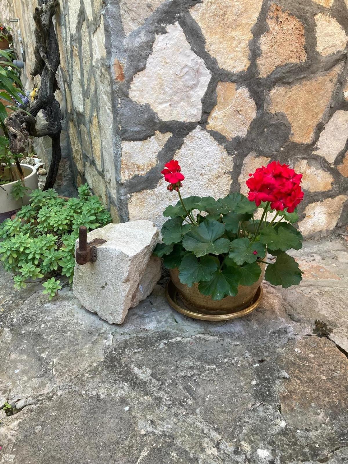 מורטר Apartments Lavandis מראה חיצוני תמונה